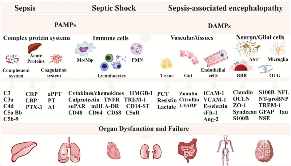 sepsis biomarkers